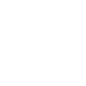 Tony peinture